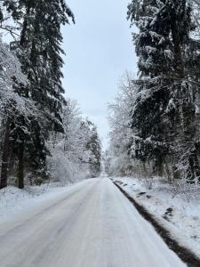 an empty road covered in snow with trees at Przytulisko na Mazurach in Ruciane-Nida