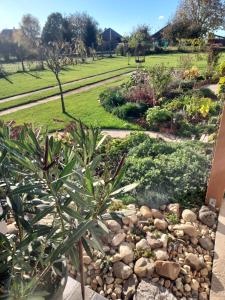 Gallery image of DE BLOEMENTUIN / A VIRÁGOSKERT in Tiszafüred