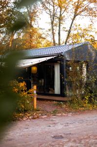 een klein huis met een zonnedak in het bos bij Vague Luxurious Tiny House Luxe Wellness, Spa Bad,Beamer, Veluwe in Nunspeet