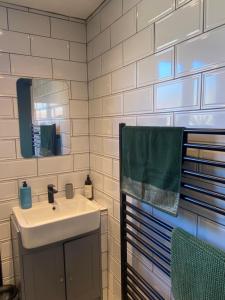 a bathroom with a sink and a mirror at Fig Tree Flat - Recently Renovated in Glastonbury