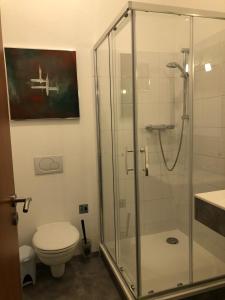 a bathroom with a toilet and a glass shower at Apartmán - D - Vyhlídka nad řekou in Zdiby