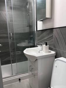 萊斯特的住宿－2Bed flat In Leicester !，浴室配有卫生间、盥洗盆和淋浴。