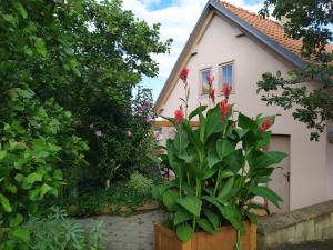 The building in which the holiday home is located