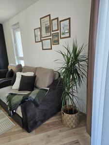 Posezení v ubytování Studio apartman Verte