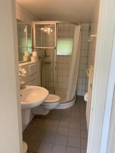 a bathroom with a sink and a toilet and a shower at Sandhammaren ,skåne in Löderup