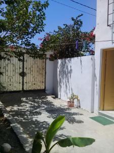 a courtyard with a fence with flowers on it at petite maison à louer à la forét de corniche Bizerte in Bizerte