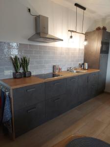 a kitchen with a counter with a sink and a refrigerator at DE BLOEMENTUIN / A VIRÁGOSKERT in Tiszafüred