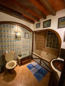 a bathroom with a toilet and a sink and a tub at L Armance in Fublaines +23 photos