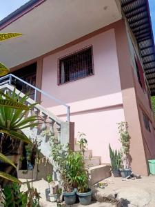 a building with stairs and potted plants in front of it at HOME of ELLAI in Banga