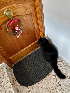Czarny kot stojący przed drzwiami w obiekcie RichMarHome w mieście Pego