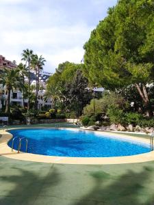 una gran piscina azul con árboles en el fondo en La casa de las Palmeras, en Muntanya la Sella