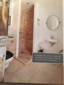 a bathroom with a shower and a toilet and a sink at Eksklusivt hus på 250 m2 i naturskønne omgivelser in Hørsholm