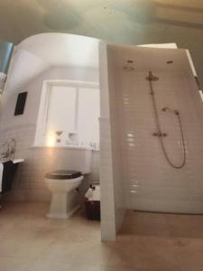 biała łazienka z prysznicem i toaletą w obiekcie Eksklusivt hus på 250 m2 i naturskønne omgivelser w mieście Hørsholm