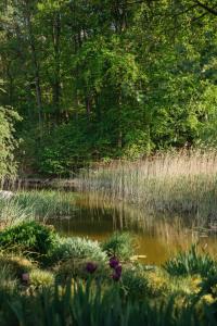 Naturlandschaft in der Nähe der Pension