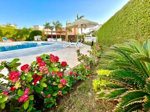 a garden with red flowers next to a swimming pool at Luxury Villa with pool in Hurghada in Hurghada