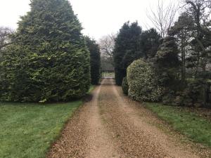a dirt road with trees on both sides at Highfield in Lissett