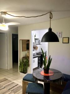 a kitchen with a table with a potted plant on it at Apartamento Belas Artes Itanhaém in Itanhaém