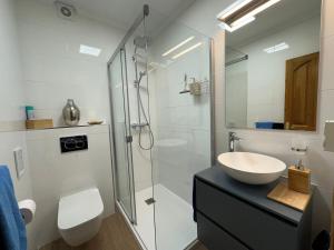 uma casa de banho com um lavatório e uma cabina de duche em vidro. em B&B Villa Archez em Árchez