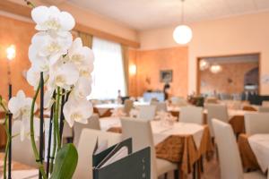 Restaurace v ubytování Hotel Cima d'Oro + 37 fotografií