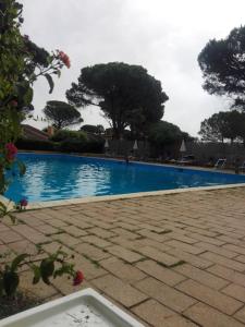 een zwembad met blauw water en bomen op de achtergrond bij Villetta a Schiera Calaverde in Fort Village