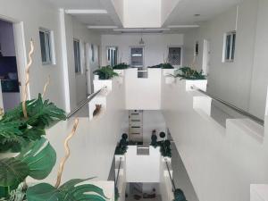 um corredor com paredes brancas e vasos de plantas em Kandi Modern 1BR, king bed. Wi-Fi, housekeeping! em Angeles