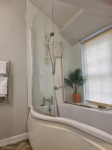 a bathroom with a tub and a plant in a window at Hidden Gem. 1800s Bank Office. Knaresborough Town in Knaresborough