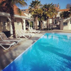 a swimming pool with lounge chairs and palm trees at De Heerlijkheid van Noordwelle Adults Only in Noordwelle