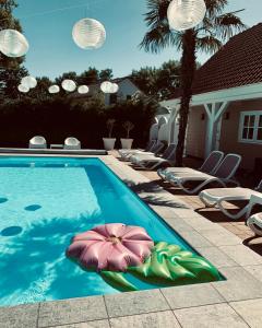 una piscina con tumbonas y una pelota de playa en el agua en De Heerlijkheid van Noordwelle Adults Only en Noordwelle