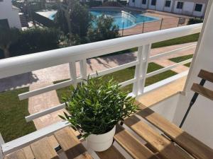 a potted plant sitting on a wooden bench on a balcony at Apartamento junto a la playa con terraza y piscina in Cala en Blanes