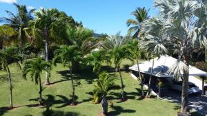 a view of a resort with palm trees at Villa Louise in Sainte-Rose