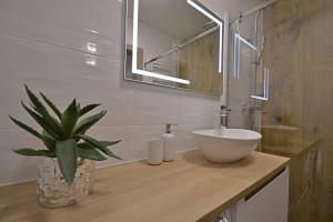ein Badezimmer mit einem Waschbecken und einer Pflanze auf einer Theke in der Unterkunft Sun Towers - Apartamenty Bryza - Apartamenty z parkingiem in Świnoujście + 37 Fotos