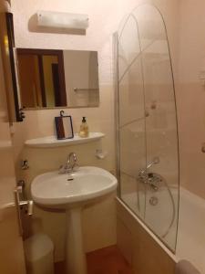 une salle de bain avec un lavabo et une douche en verre dans l'établissement Studio cabine au cœur de la montagne Les Memises, à Thollon-les-Mémises