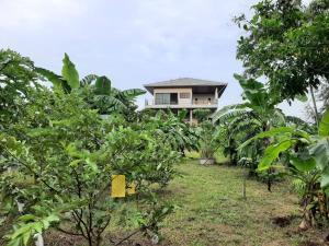 Zahrada ubytování Niramitsook Farm Stay Khao Yai บ้านไร่นิรามิสสุข ฟาร์มสเตย์ ปากช่อง เขาใหญ่