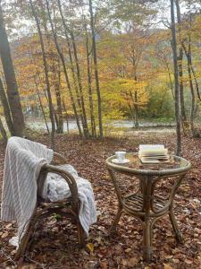 a table and a chair sitting next to a table and a table and chair at Vikendica Silenzio in Cetinje