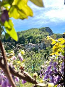 a bunch of flowers in front of a mountain at Tuscany Escape in Borgo a Mozzano