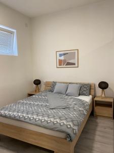 a bedroom with a bed and two end tables at Apartman Arthur in Kikinda
