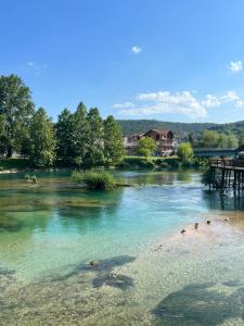 a group of ducks swimming in a river at Haus Palazzo in Bosanska Krupa