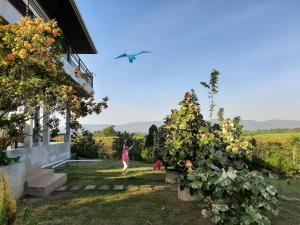 Zahrada ubytování Niramitsook Farm Stay Khao Yai บ้านไร่นิรามิสสุข ฟาร์มสเตย์ ปากช่อง เขาใหญ่