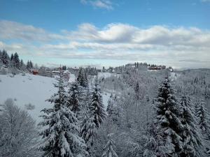 Glečer Kop A11 FREE Parking Garage v zimě