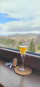 Příroda nedaleko apartmánu + 29 fotografií