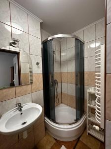 La salle de bains est pourvue d'un lavabo et d'une douche. dans l'établissement Dom Pod Lipą, à Rymanów-Zdrój