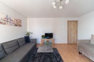 a living room with a couch and a tv at Šeškinės 61 Spacious Cozy Apartment in Vilnius +22 photos