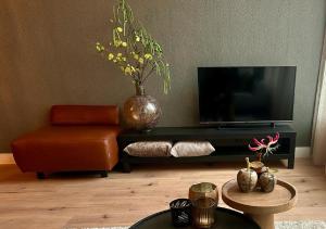 a living room with a television and a vase with flowers at RESIDENCE LEEUWARDEN in Leeuwarden