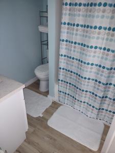 a bathroom with a shower curtain and a toilet at Unique Center Of Downtown Elmira in Elmira