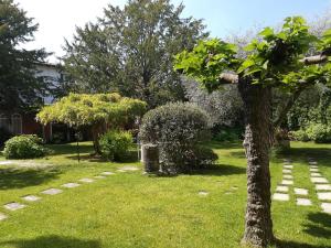 Garden sa labas ng Palazzetto Scodellari - Roof House