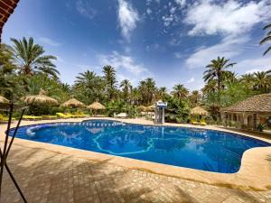 a swimming pool at a resort with palm trees at Riad Lamane in Zagora