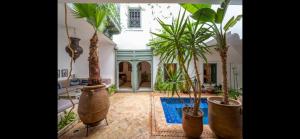 Zahrada ubytování Riad Timila + 37 fotografií