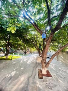 ein Bild eines Baumes mit einem Vogelhaus darauf in der Unterkunft MarNar Hotel in Yerevan