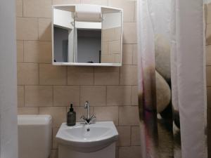 a bathroom with a sink and a toilet and a mirror at Berkenyés Vendégház in Zalalövő