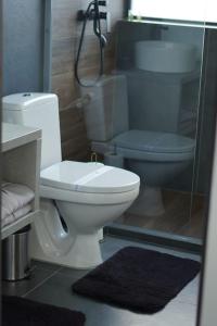 a bathroom with a toilet and a glass shower at Elysium Cabin in Muntele Rece